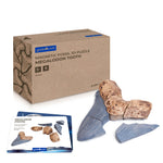 300662 Magnetic Fossil 3D Puzzle Megalodon Tooth Main Image | Megalodon Tooth
