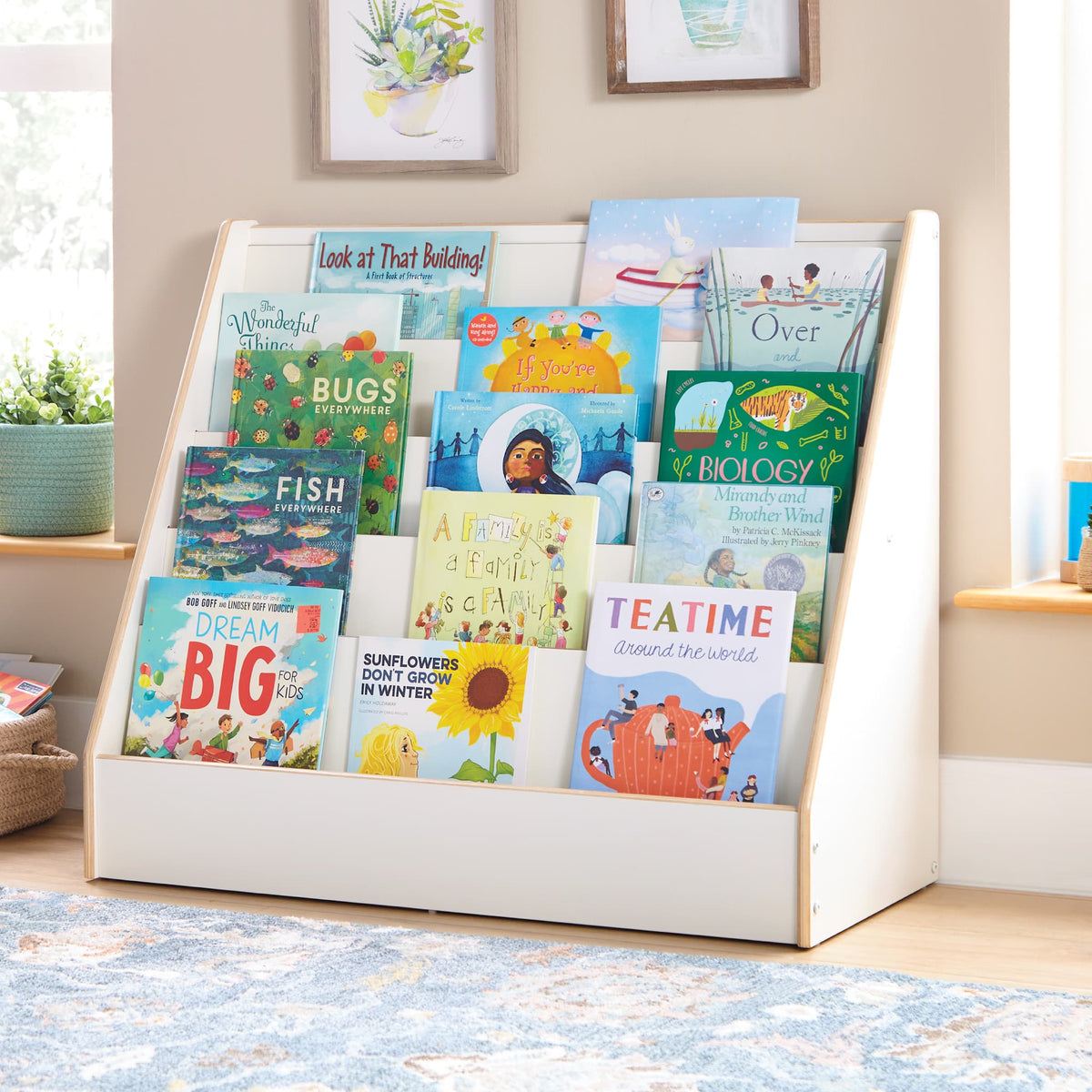 G80335 EdQ Book Display White Env 0460 Main | White